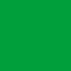 Universeel kleurpigment Polyvine groen