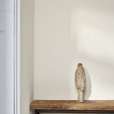 AnnIe Sloan Wall Paint Pure