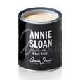 Annie Sloan Wall Paint Original White 120 ml
