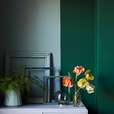 Annie Sloan Wall Paint Knightsbridge Green
